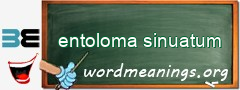 WordMeaning blackboard for entoloma sinuatum